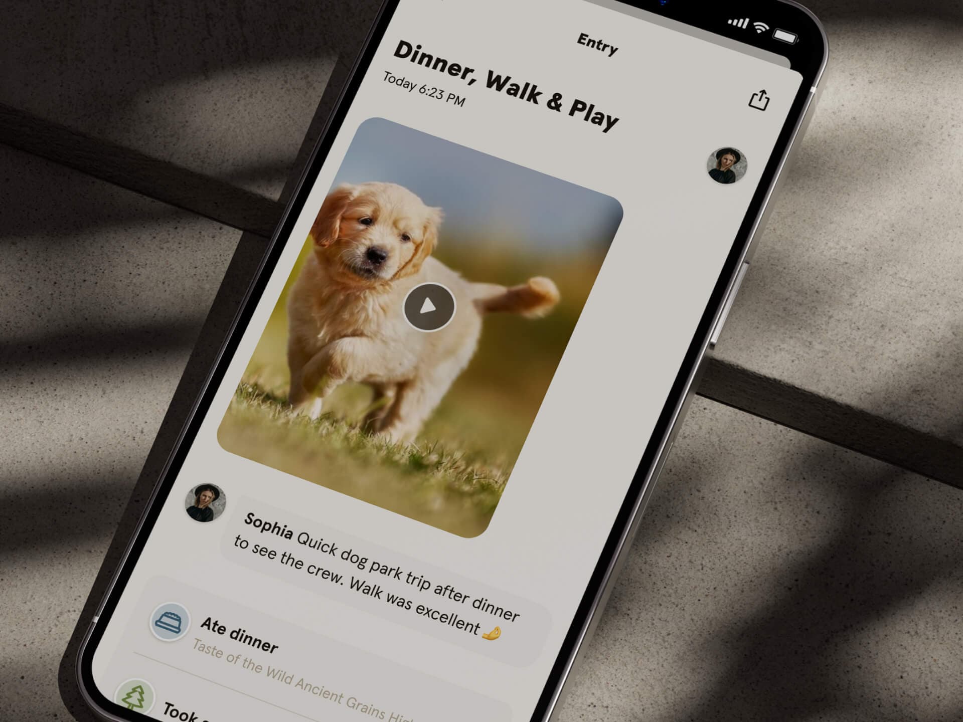 Harper - Consumer dog owner app