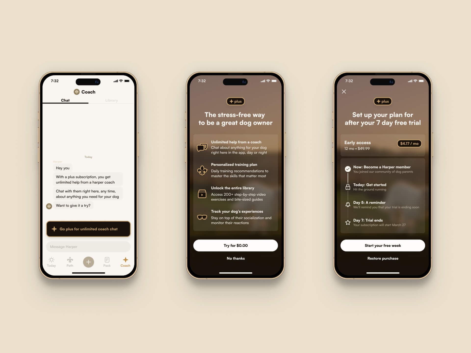 The Plus subscription flow