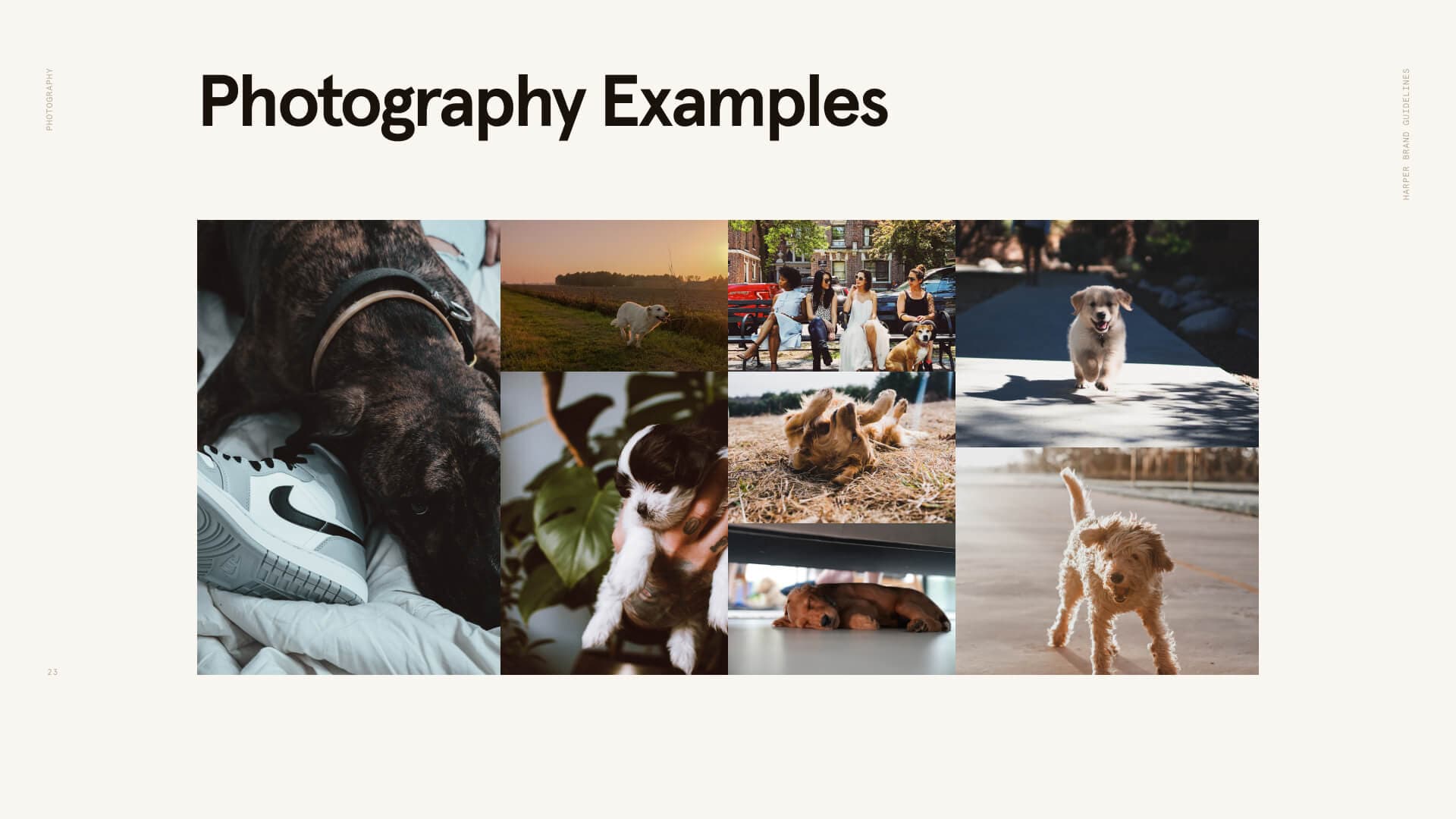 Harper photography style