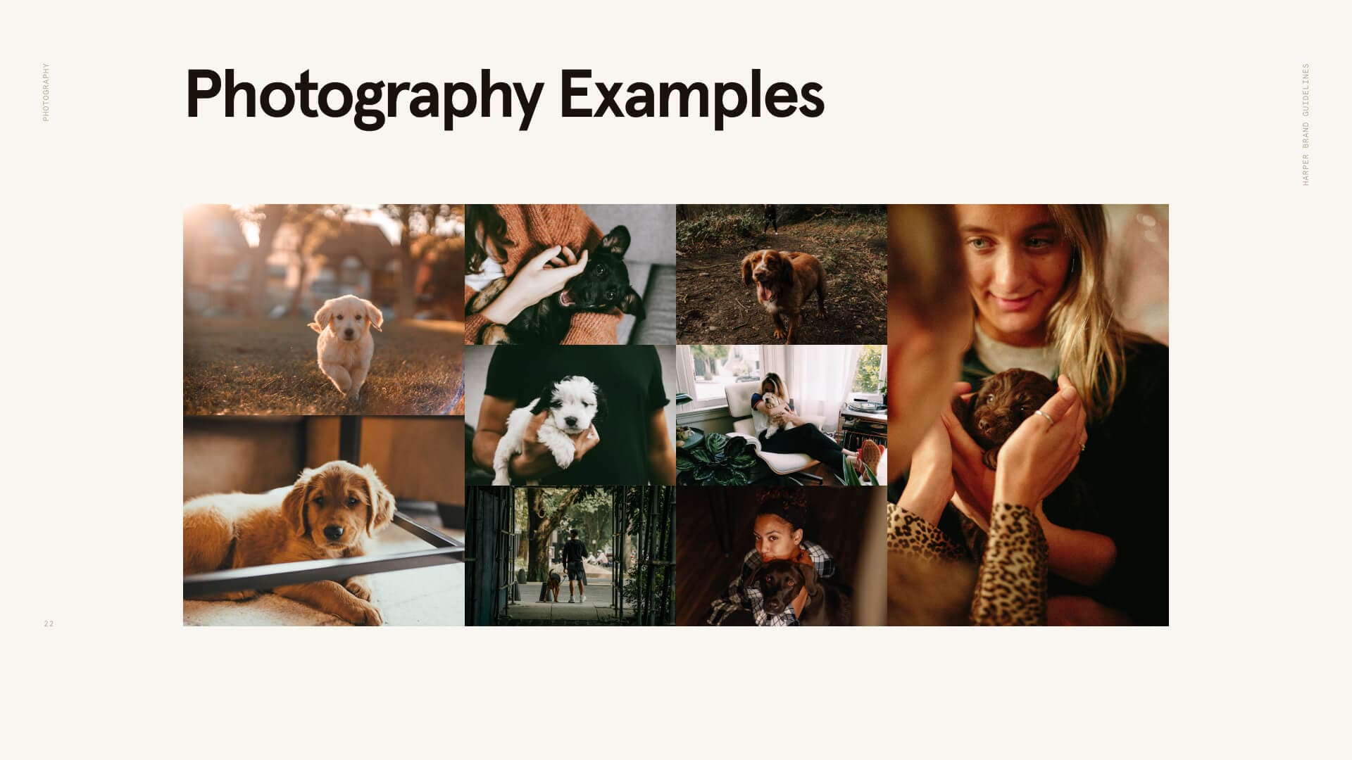 Photography guidance from the brand book