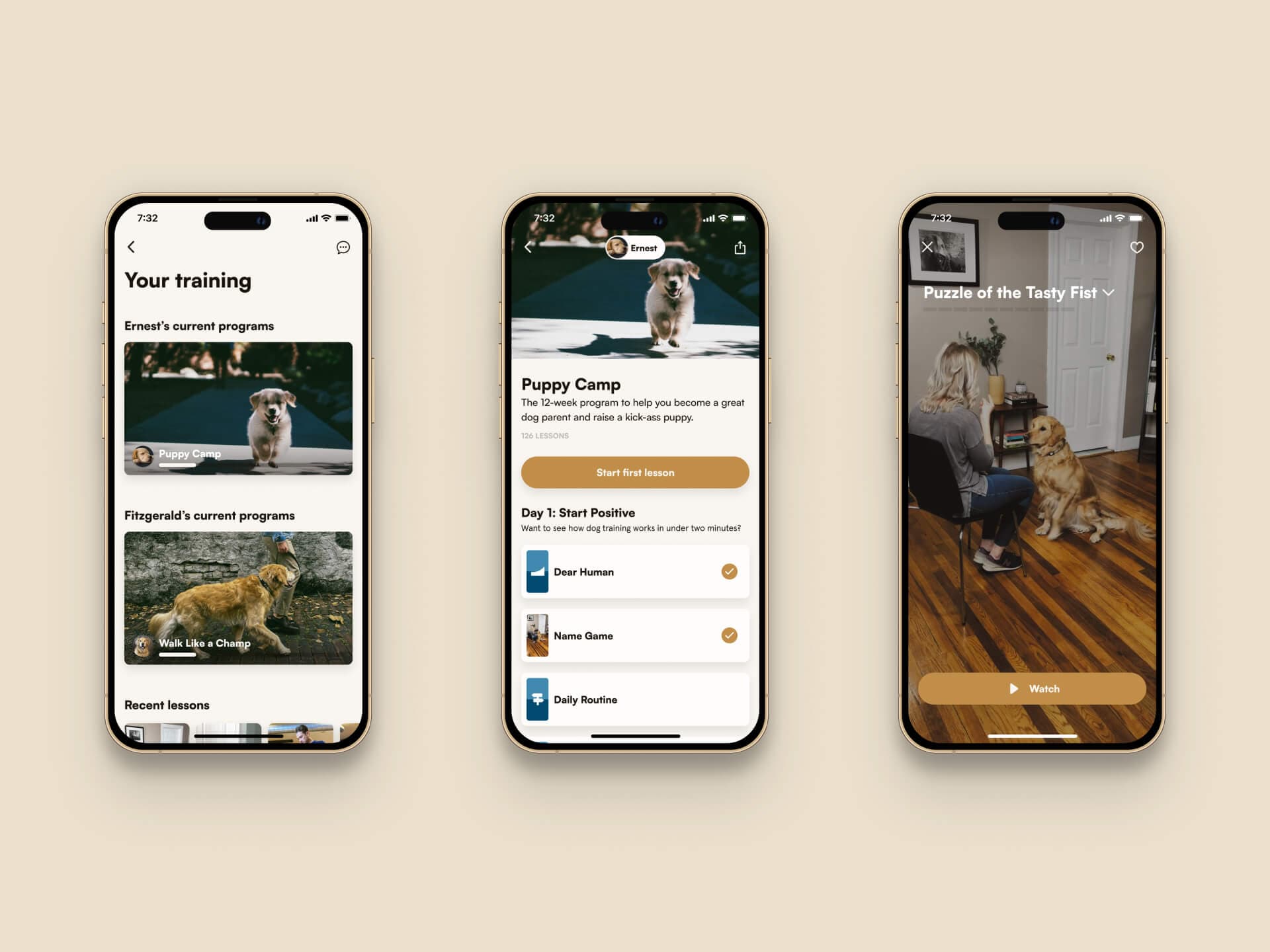Your resources, a course, and an exercise