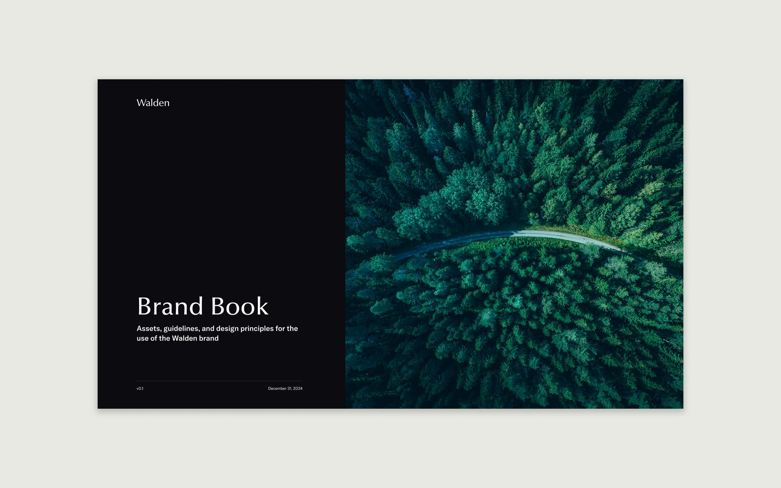 Walden brand identity and product vision work