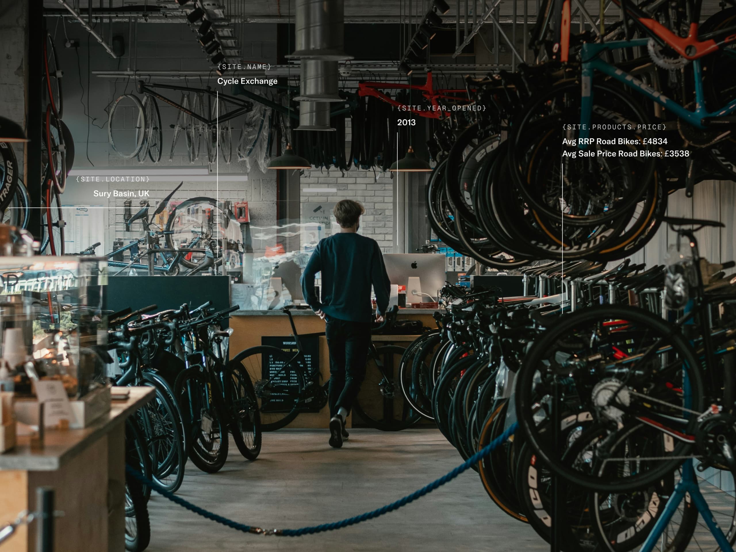 Walden brand identity and product vision work