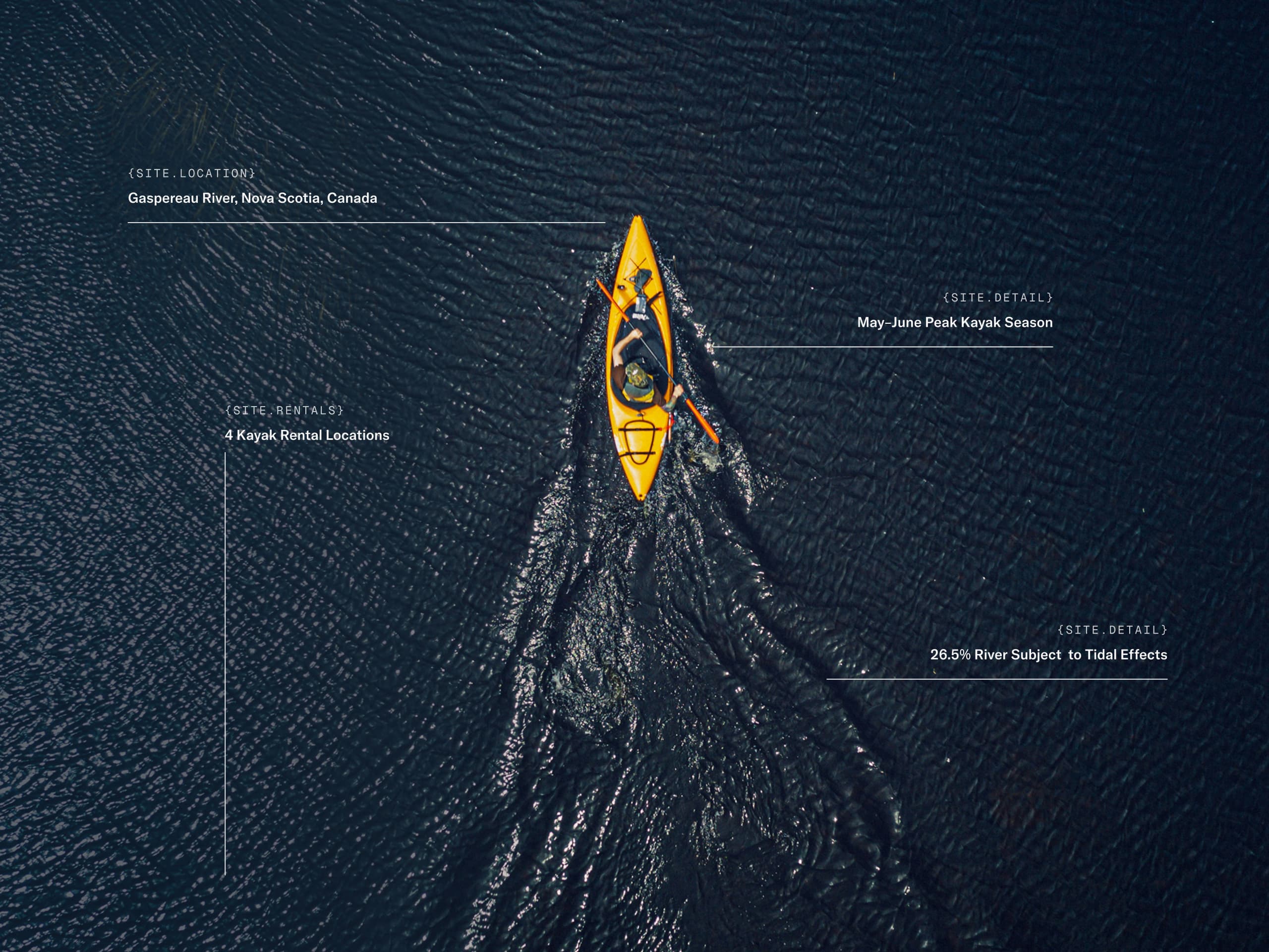 Walden brand identity and product vision work